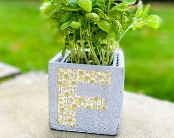 Birth Flower Font Square Planter