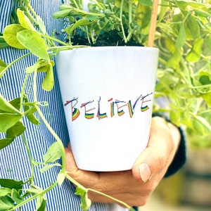 Rainbow Letter Plant Flower Pot