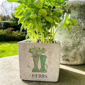 Herb Welly Boot Square Concrete Planter