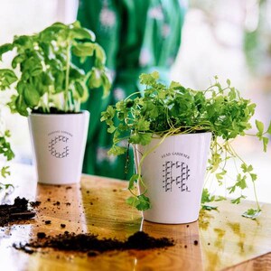 Hobby Font Gardening Gift Set Gift Set