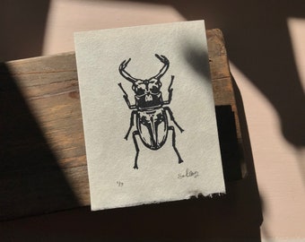 Beetle Print, Mini Print, Linocut Print, Gardening, Insects