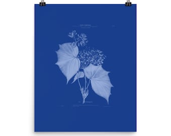 American Flowers Series Fine Art Print • La Peyrinette • Giclee Fine Art Print