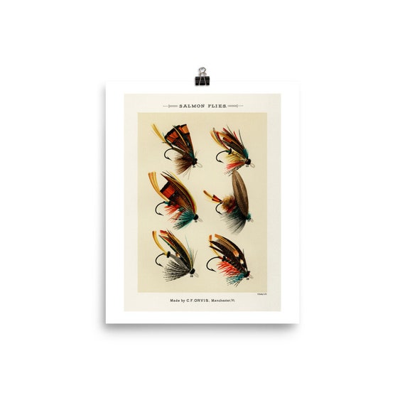 Fine Art Print Fine Art Poster Flying Lure Fish Fly Fishing Tackle Fly  Fishing Fly Fishing Lures 
