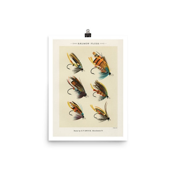 Buy Flying Lure Fish Fly Fishing Tackle Fly Fishing Fine Art Print