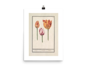 Tulips Watercolor | Fine Art Print | Fine Art Poster | Vintage Illustration | Flowers