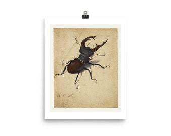 Albrecht Durer 'Stag Beetle' Fine Art Print • Watercolor • Insect • Giclee Fine Art Print