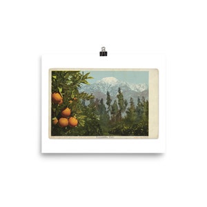 Vintage Pasadena California Postcard Fine Art Print • California Orange Orchard Souvenir Postcard • Giclee Fine Art Print