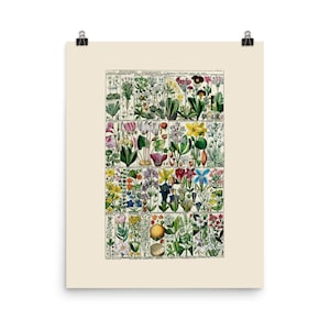 Flowers - Art Print - Cyclamen - Azalea - Pink Flowers - Yellow Flowers - Blue Flowers - Botanical Wall Art - Botanical Artwork - Wall Art