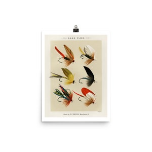 Fly Fishing | Fly Fishing Lures | Fine Art Print | Fine Art Poster | Flying Lure | Fish | Plate W