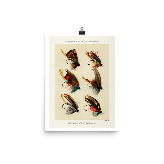 Fine Art Print Fine Art Poster Flying Lure Fish Fly Fishing Tackle