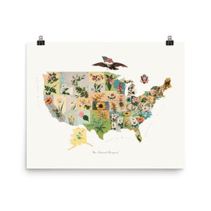 Vintage US Landkarte von State Flowers Fine Art Print • Giclee Fine Art Print