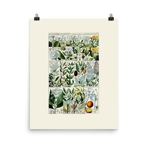 Flowers - Art Print - Botanical Wall Art - Lilac - Blue Flowers - White Flowers - Yellow Flowers - Botanical Artwork - Wall Art