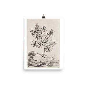 Botanical Illustration Fine Art Print • Botanical Art • Botanical Print • Landscape Art Print • Home Décor • Giclée Print
