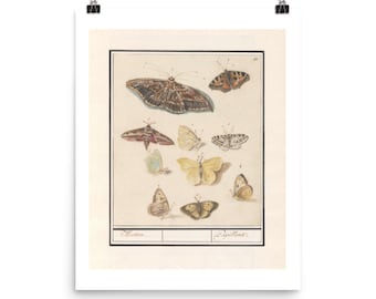 Butterflies Art Print - Moths - Vintage Watercolor Illustration - Wall Art - Fine Art Print - Giclee Print - Home Decor