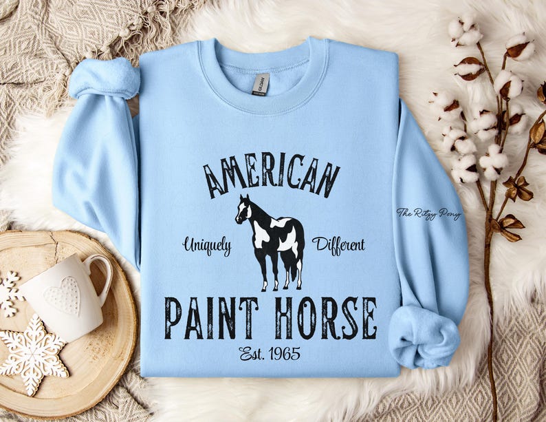 American Paint Horse Sweatshirt, Paint Horse Shirt, Horse Shirt, Horse