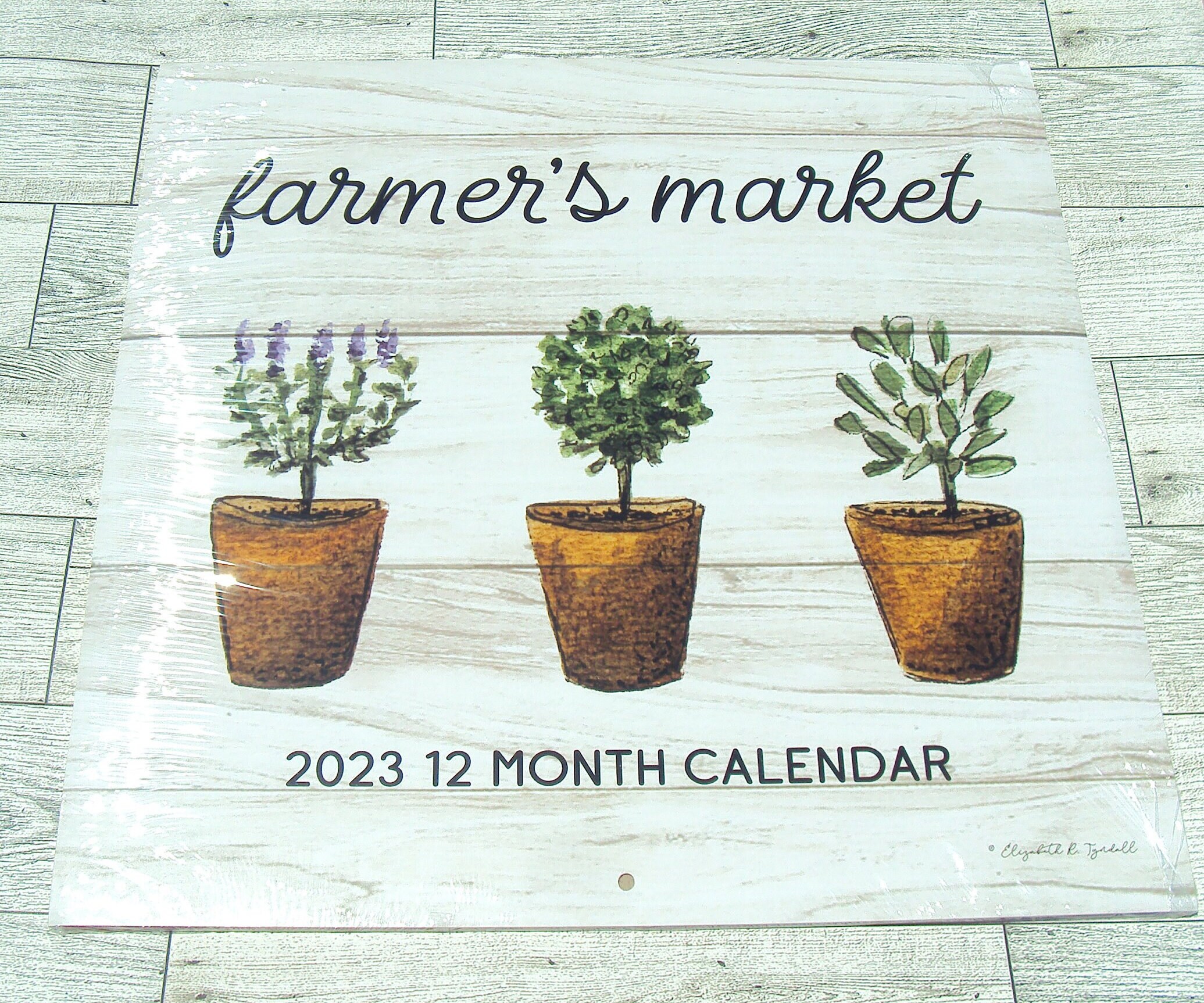 2023 Dollar Tree Farmer's Market Wall Calendar 11 Inches X 11 Inches