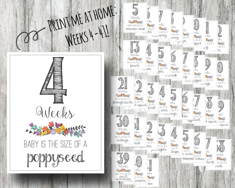 BUNDLE Pregnancy Weekly Countdown Printable and Baby Monthly Etsy
