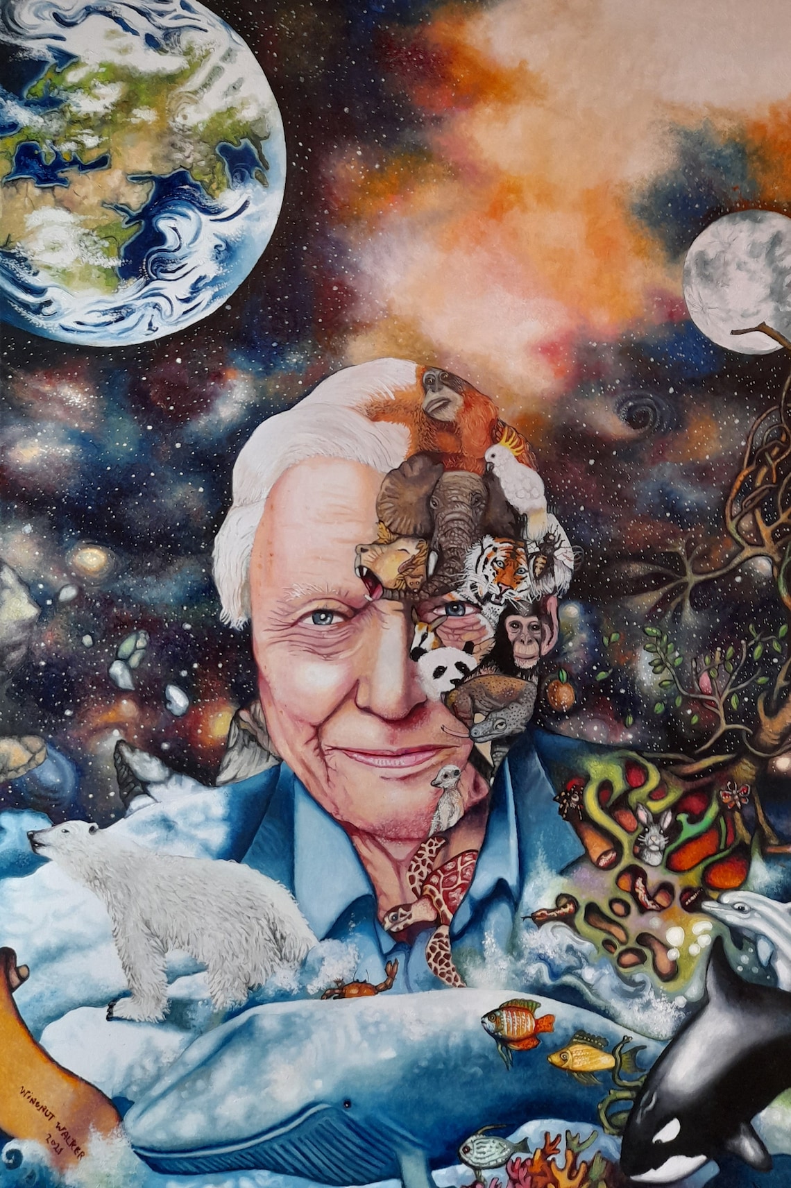 David Attenborough Portrait A3 Limited Edition Giclee prints | Etsy