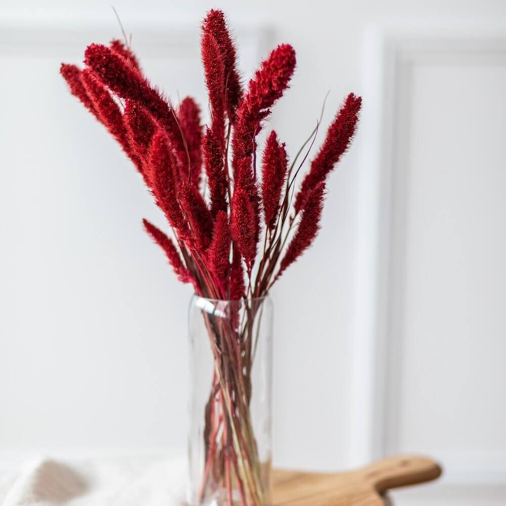 Botte Sétaire Rouge