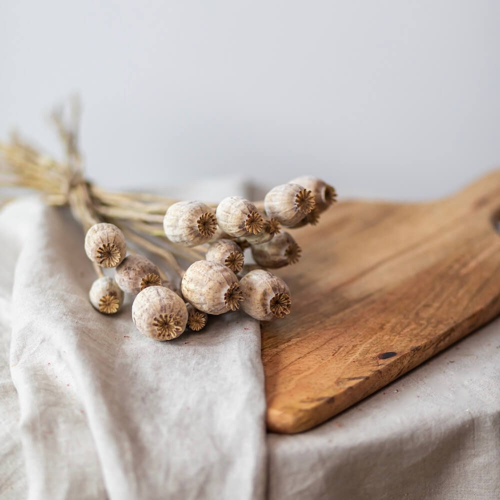 Botte Pavots Séchés