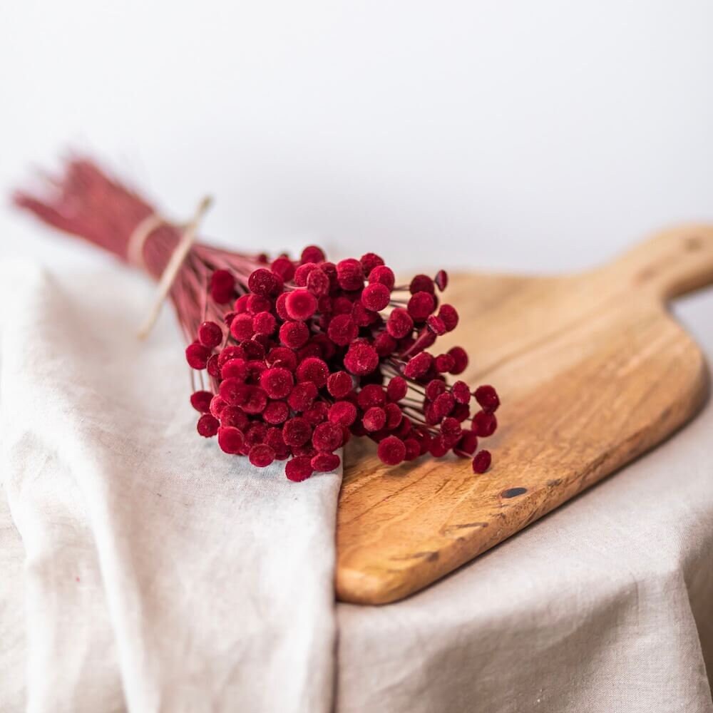 Botte Botao Bordeaux