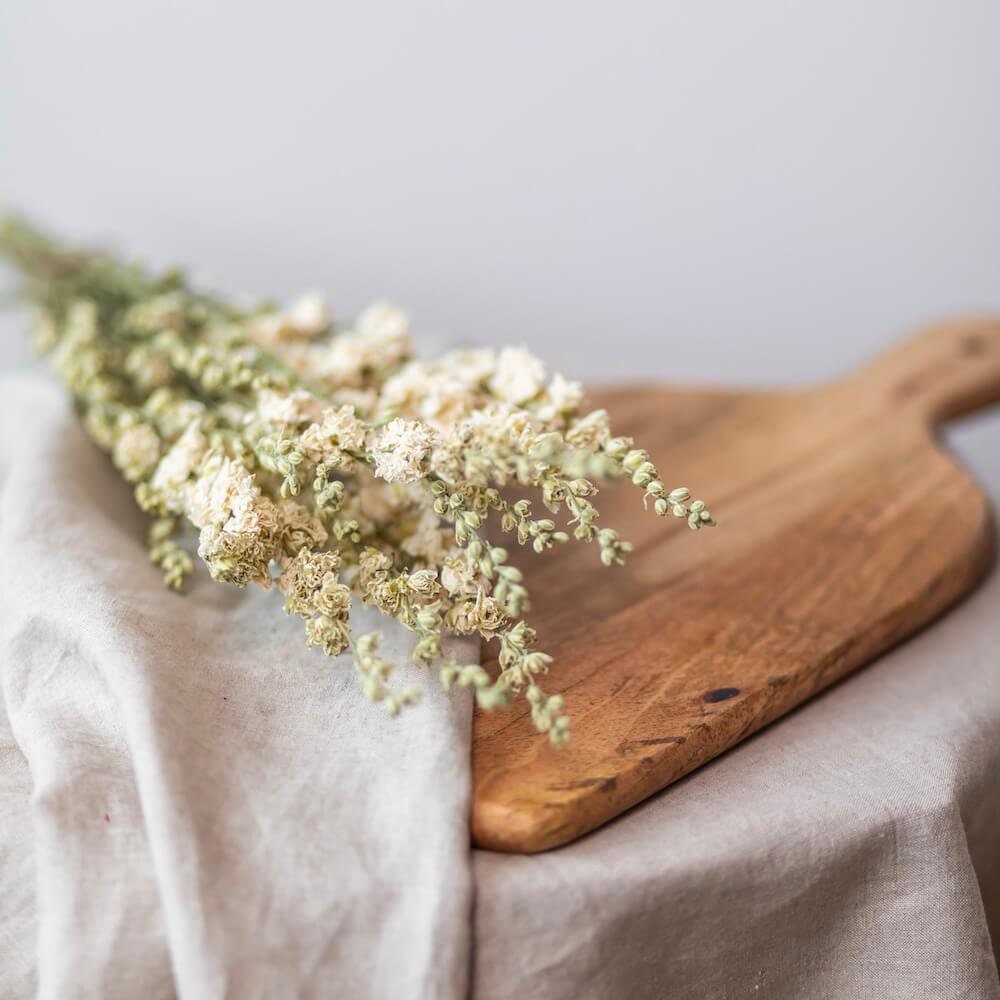 Delphinium Blanc en Botte