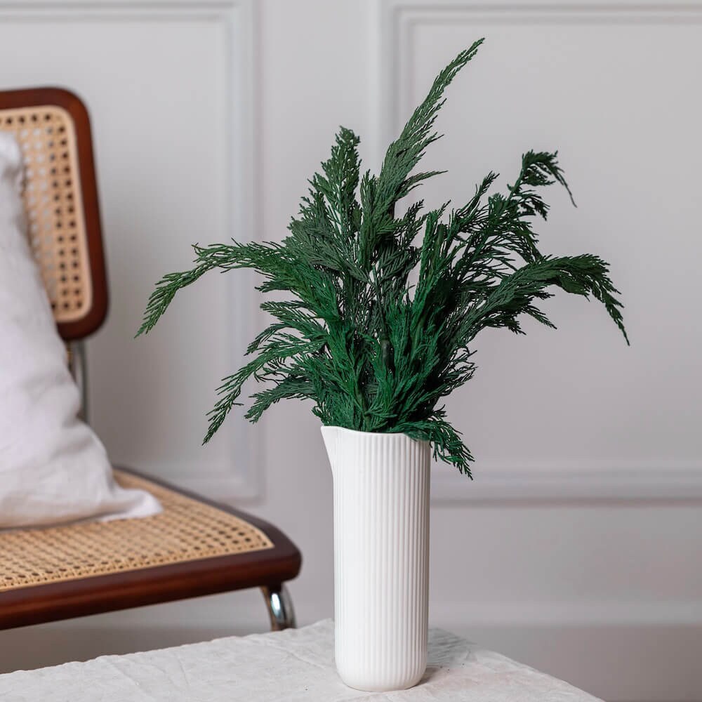 Botte de Thuya Stabilisé