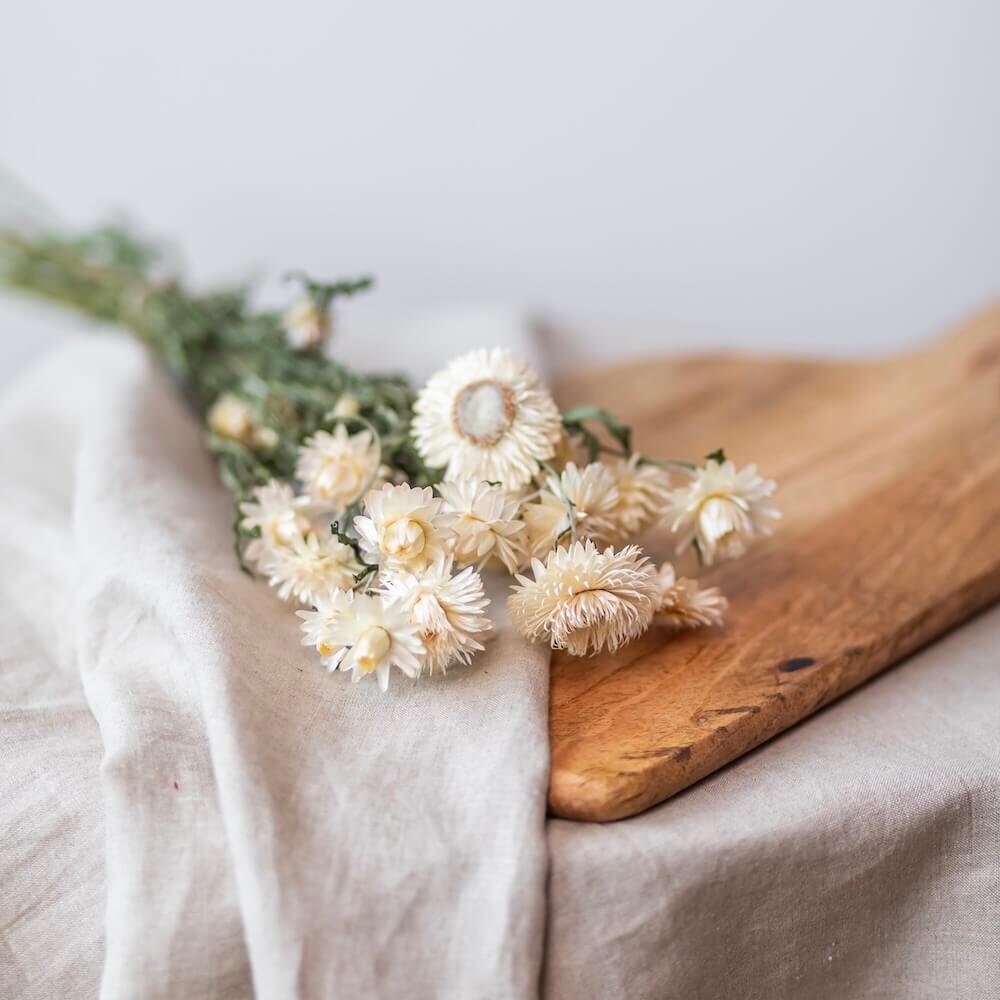 Botte Hélichryse Blanche