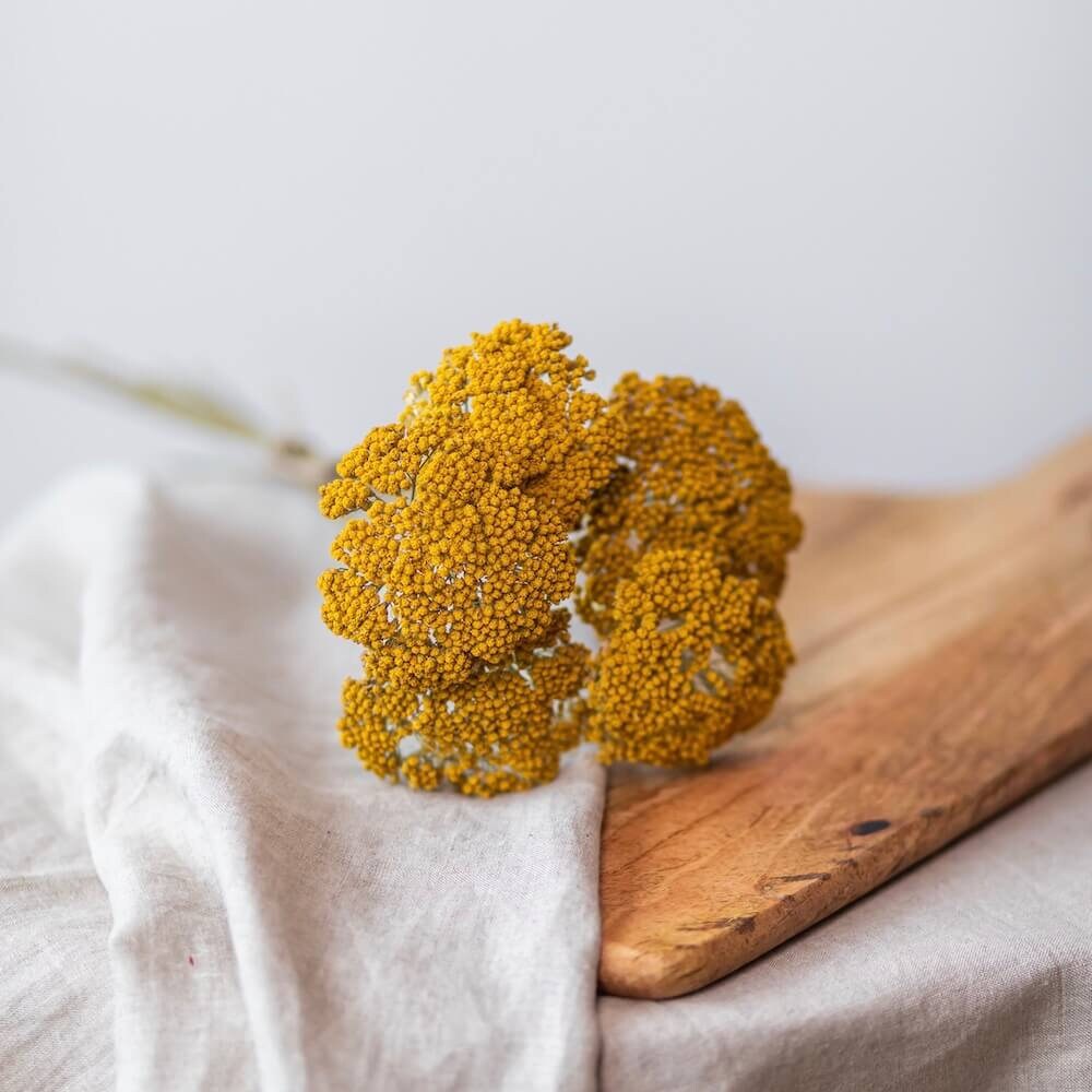 Botte Achillée Jaune