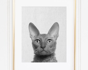 Sphynx Cat Print Black And White Cat Poster Nursery Cute Etsy