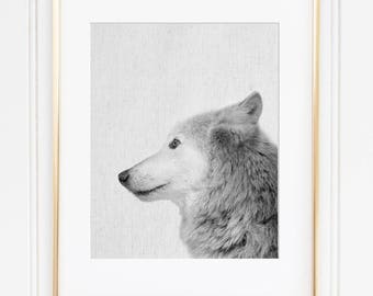 Wolf Photo Gray Wolf Art Black and White Animal Print