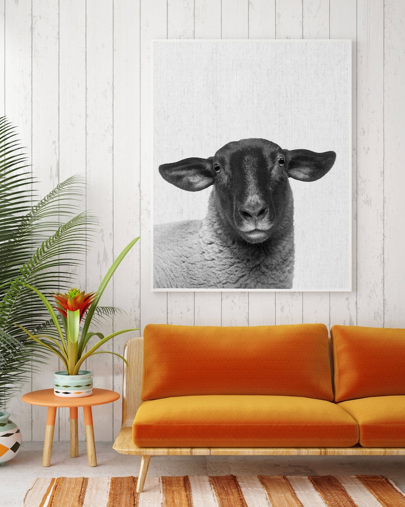 dark sheep head art dark sheep head art