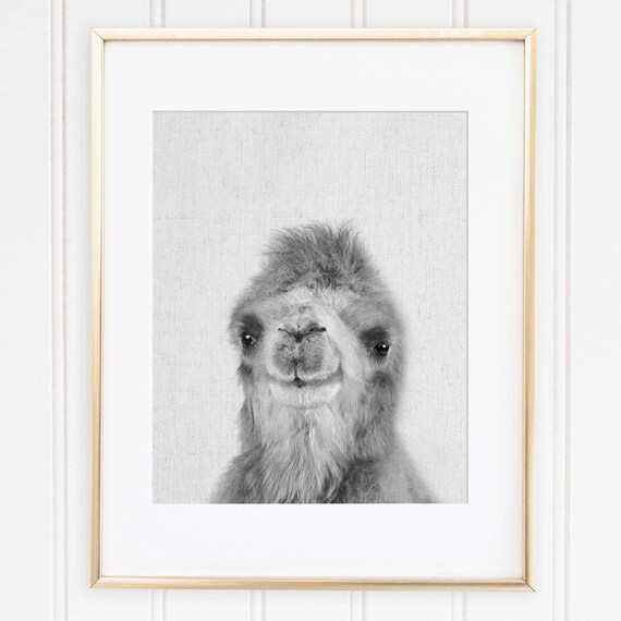 Impression Dos De Chameau Dromadaire Impression Decor Etsy