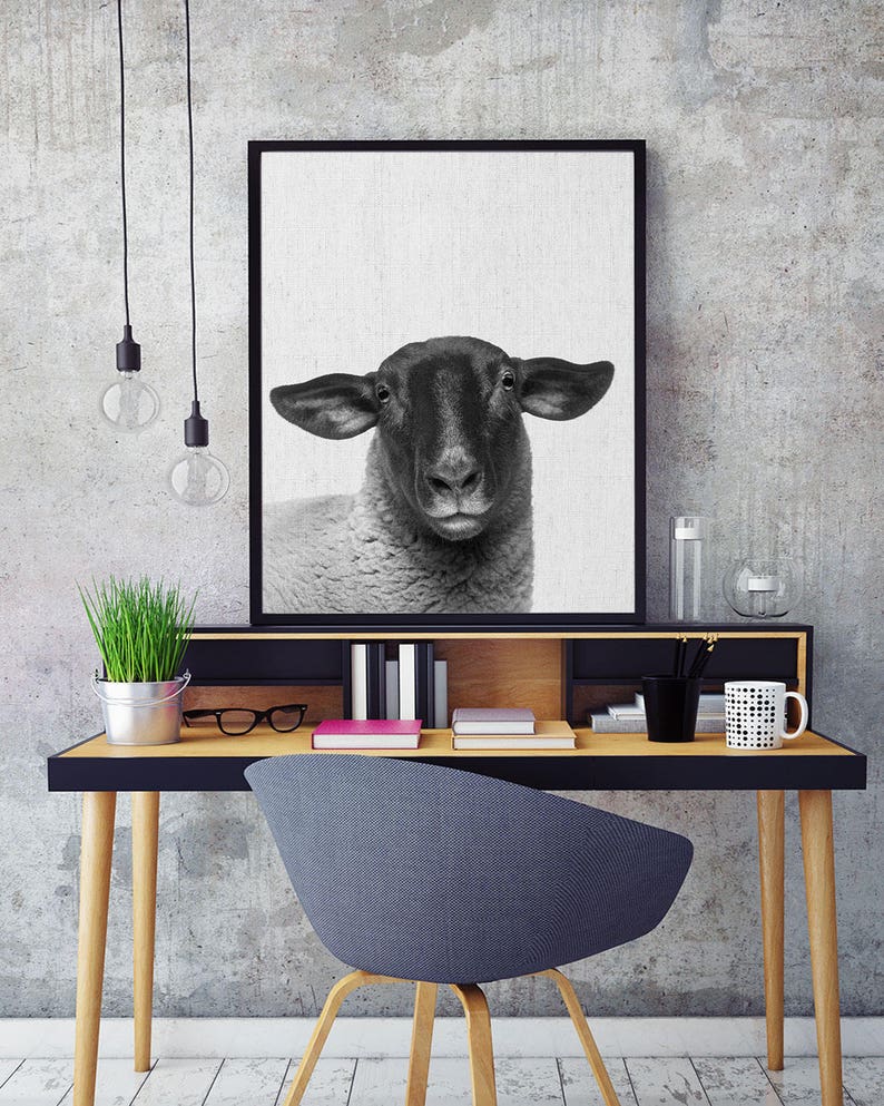 dark sheep head art dark sheep head art