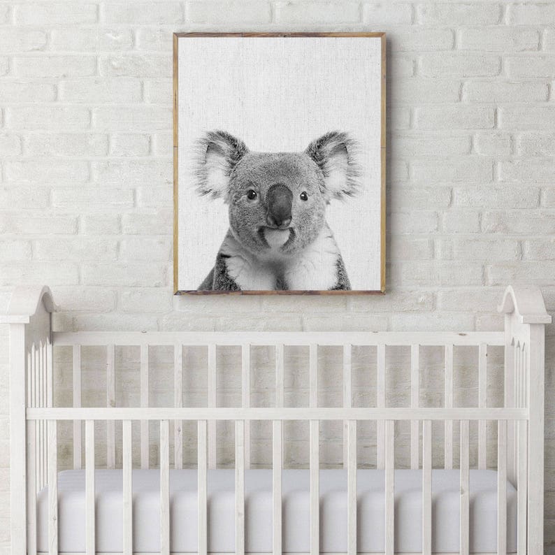 Printable Koala Australian Animal Poster Australia Wall Art Etsy