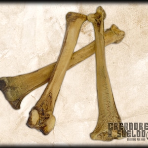 Soft foam bones (Bundle avaliable) flexible prop for costuming tribal barbarian