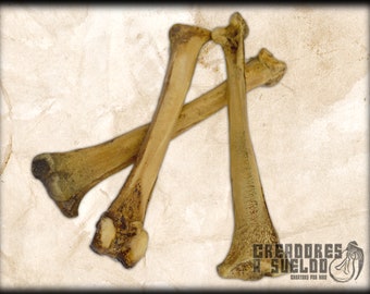 Soft foam bones (Bundle avaliable) flexible prop for costuming tribal barbarian