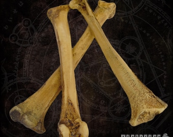 Soft foam bones (Bundle avaliable) flexible prop for costuming tribal barbarian
