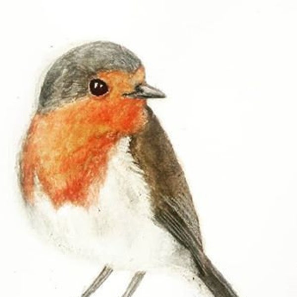 Robin Art - A red breasted robin print. Originally a bird watercolor. A small bird print. Ideal as Robin gift, for wild bird lover.