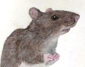 Curious Rat Print - Small animal art. A brown Rat artwork. Hand painted Rodent print. Ideal as Rat lovers gift, acrylic animal nursery print