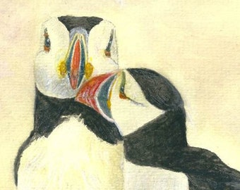 A Puffin Art Print - A Puffin Print, of original Puffin Watercolor. A Cute Puffin Artwork. Of Puffins Kissing, A Love Birds Print. Bird Gift