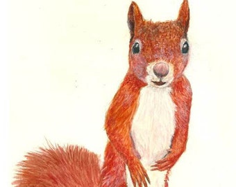 Cute Squirrel Print. Squirrel Watercolor Portrait. Red Squirrel Gifts. For - Red Squirrel Home Decor. Wildlife Lover. Children's Room Art.