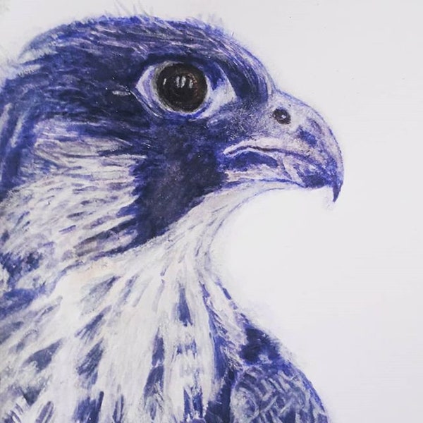 Blue Peregrine Falcon Art Print - A Falcon print, of the original Falcon painting. Part of my birds of pray art series.