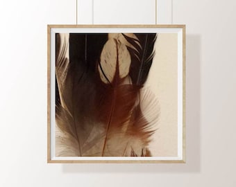 Dark brown feathers photograph - Wild bird feathers art print. A medium sized,mixed media nature artwork.