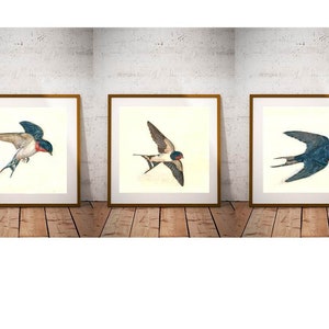 Ensemble d’impression d’oiseau de 3 - ensemble d’impression d’hirondelle de grange - impression bleue d’aquarelle d’oiseau. Décor à la maison bleu. Ensemble d’estampes Gift Nature Inspired Bird Art