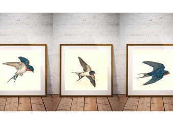 Bird Print Set of 3 - Barn Swallow Print set - Blue bird watercolor art print. Blue home decor. Set of Prints Gift Nature Inspired Bird Art