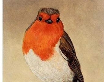 Robin Watercolor Art - A small bird print. A Red breasted Robin print. A bird lover gift. Irish art gift