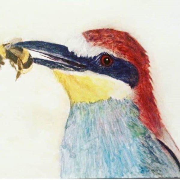 Bee Eater bird. A professional print, of my original colorful bird watercolor painting. A European bird artwork.