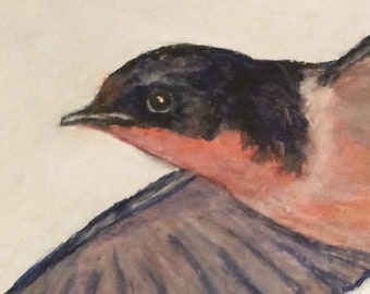 Barn Swallow Print. 8 x 10 inch Bird Print. A flying Swallow art print. A Blue Bird artwork. Swallow wall Art. A Swallow Lover gift.