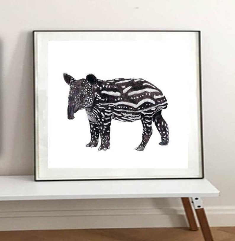 A Baby Tapir Art Print. A Malaysian Tapir Print. For Brown And White Unique Animal Decor, For A4 Baby Animal Playroom Art / Rare Animal gIft image 3